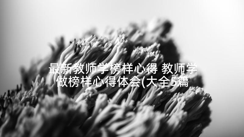 最新教师学榜样心得 教师学做榜样心得体会(大全5篇)