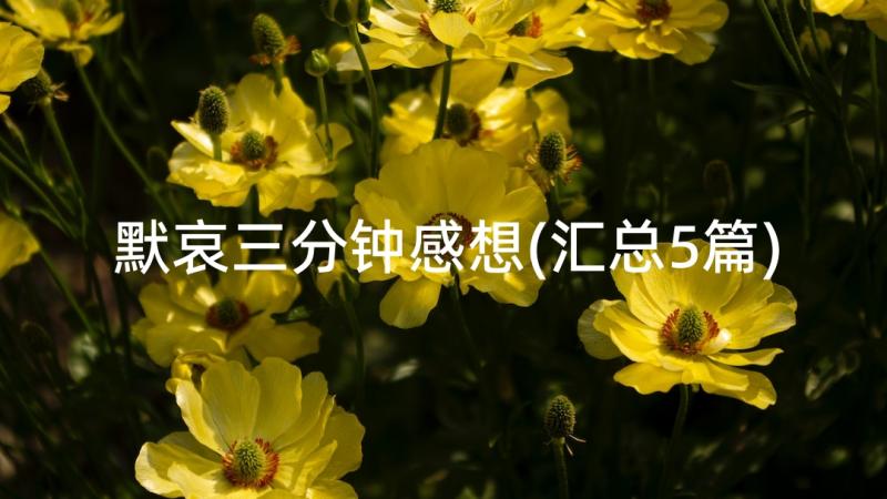 默哀三分钟感想(汇总5篇)