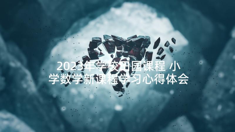 2023年学校田园课程 小学数学新课程学习心得体会(汇总9篇)