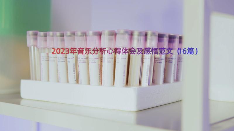 2023年音乐分析心得体会及感悟范文（16篇）