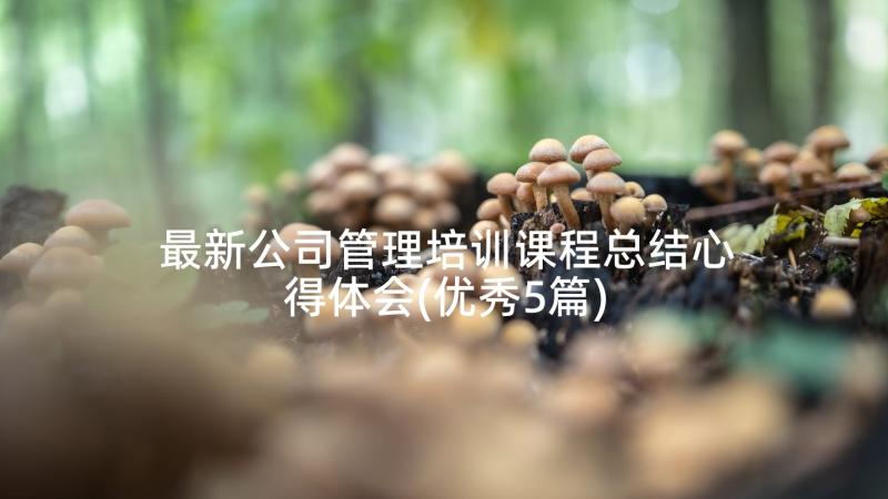 最新公司管理培训课程总结心得体会(优秀5篇)