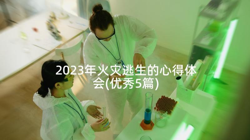 2023年火灾逃生的心得体会(优秀5篇)