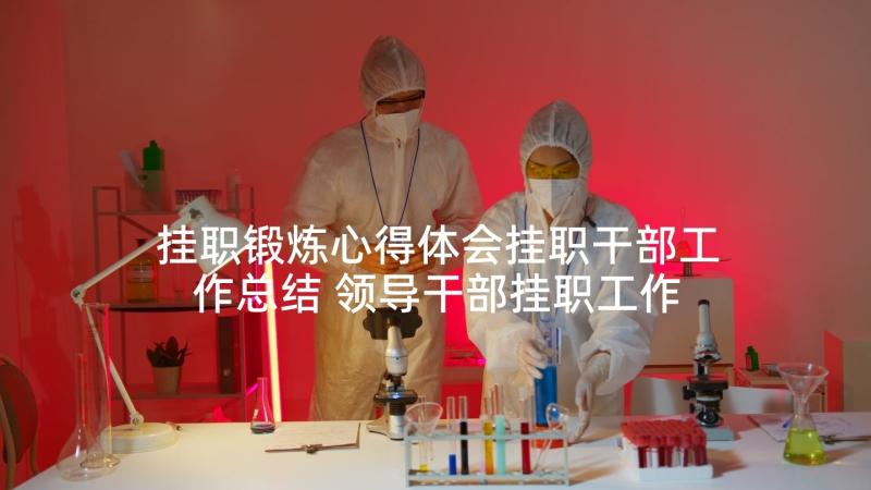 挂职锻炼心得体会挂职干部工作总结 领导干部挂职工作心得体会(实用6篇)