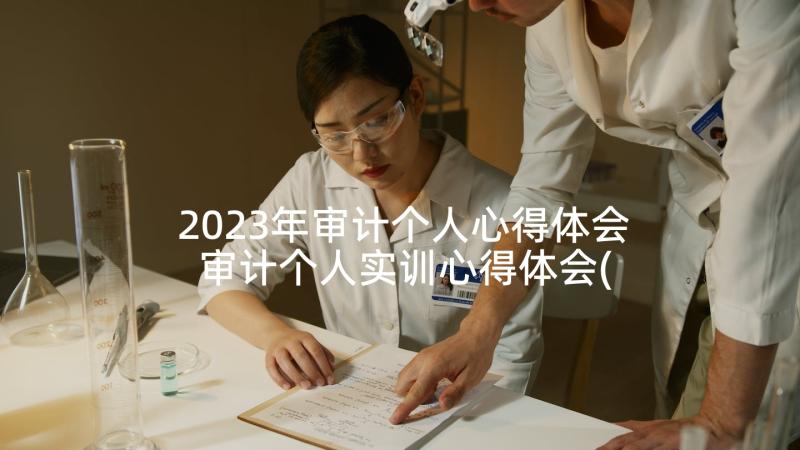 2023年审计个人心得体会 审计个人实训心得体会(实用5篇)