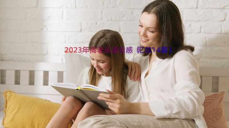 2023年高老头读后感（汇总14篇）