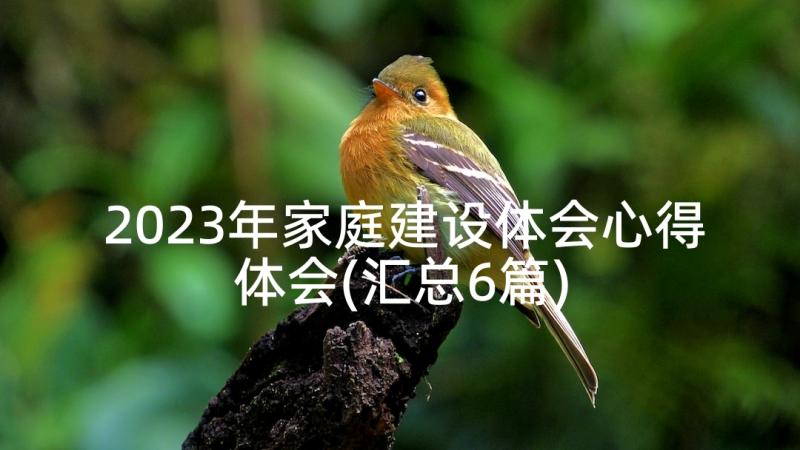 2023年家庭建设体会心得体会(汇总6篇)