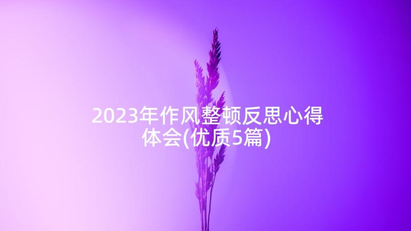 2023年作风整顿反思心得体会(优质5篇)