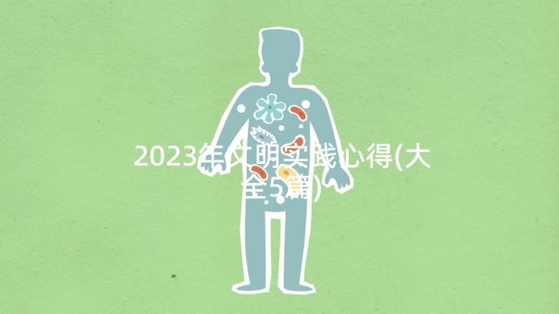 2023年文明实践心得(大全5篇)