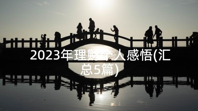 2023年理财个人感悟(汇总5篇)