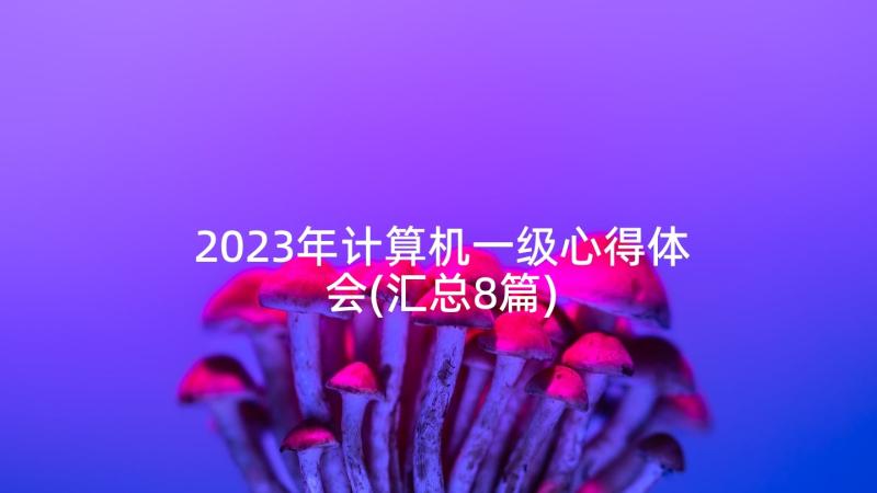 2023年计算机一级心得体会(汇总8篇)