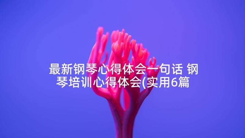 最新钢琴心得体会一句话 钢琴培训心得体会(实用6篇)