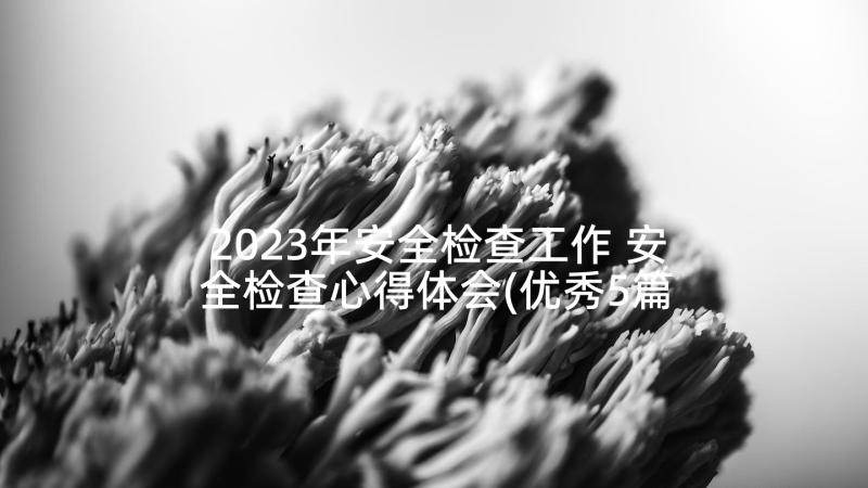 2023年安全检查工作 安全检查心得体会(优秀5篇)