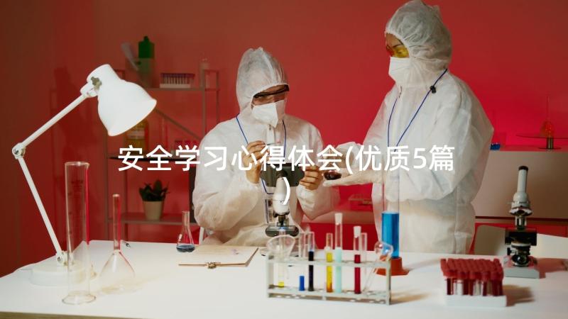 安全学习心得体会(优质5篇)