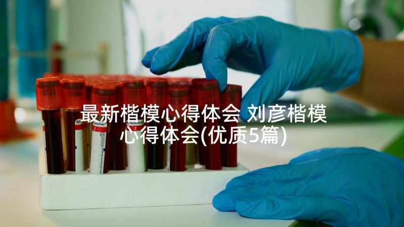 最新楷模心得体会 刘彦楷模心得体会(优质5篇)