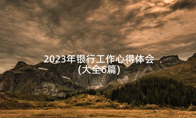 2023年银行工作心得体会(大全6篇)