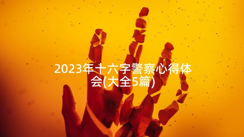 2023年十六字警察心得体会(大全5篇)