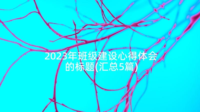 2023年班级建设心得体会的标题(汇总5篇)