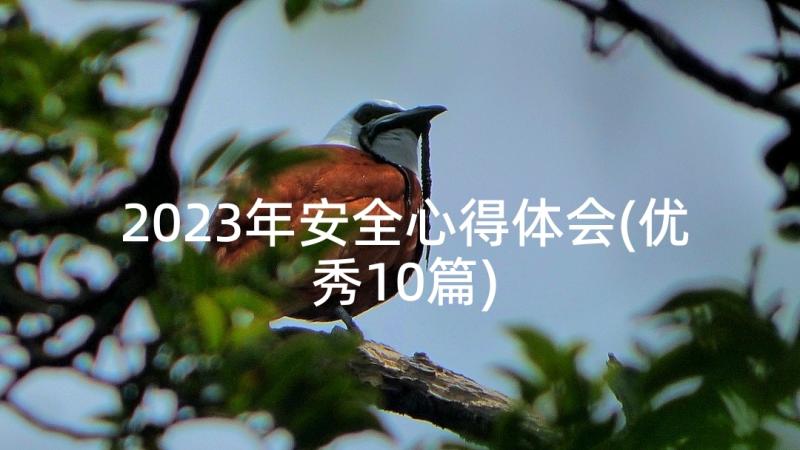 2023年安全心得体会(优秀10篇)