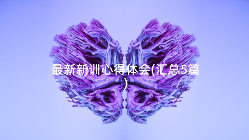 最新新训心得体会(汇总5篇)