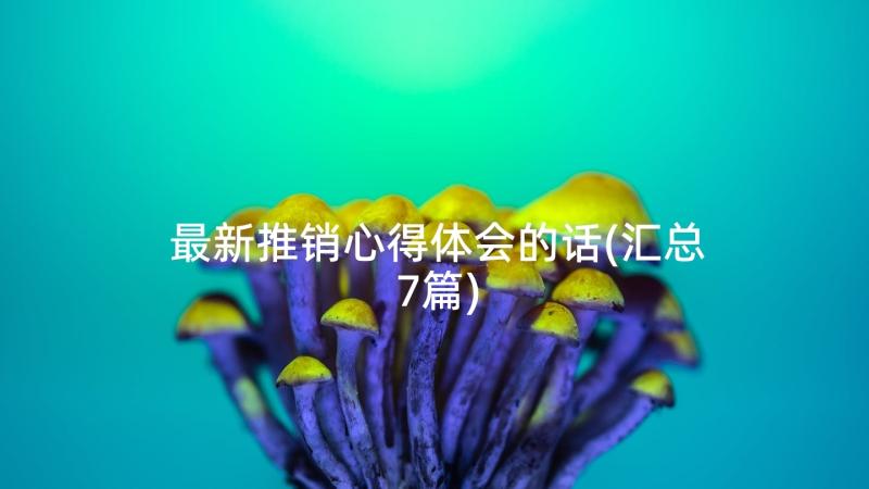 最新推销心得体会的话(汇总7篇)