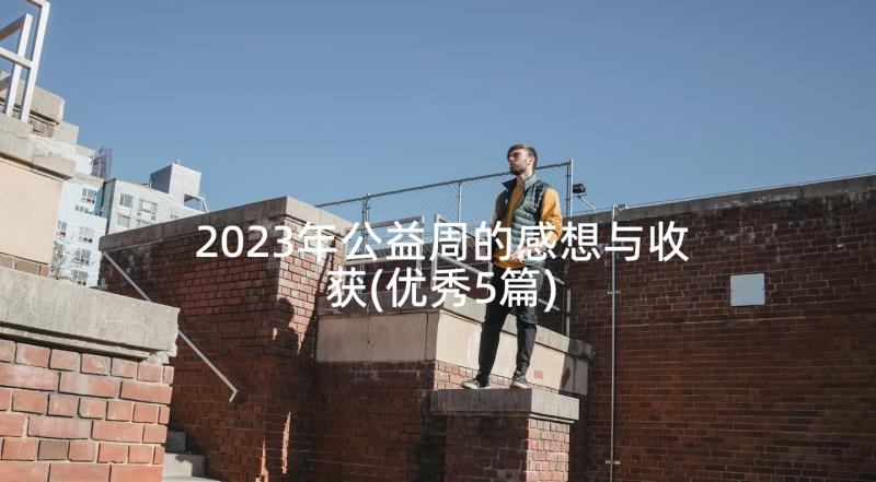 2023年公益周的感想与收获(优秀5篇)