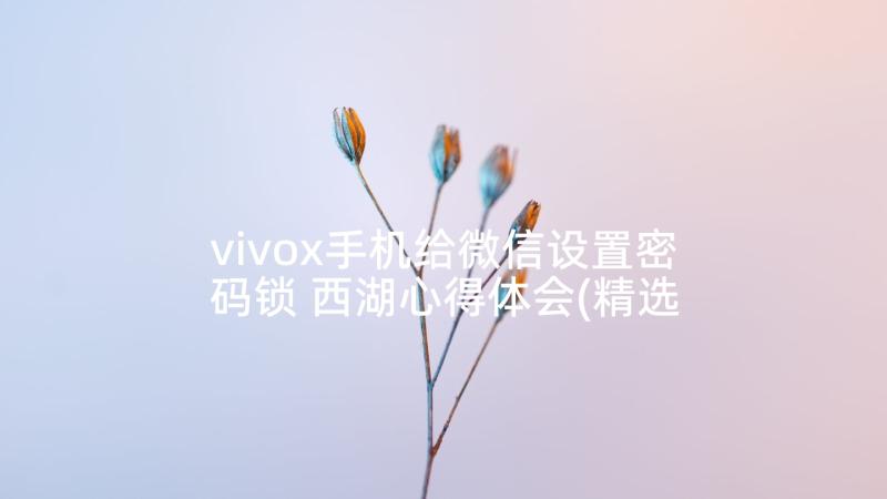 vivox手机给微信设置密码锁 西湖心得体会(精选5篇)