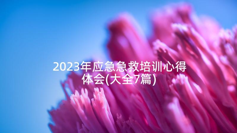 2023年应急急救培训心得体会(大全7篇)