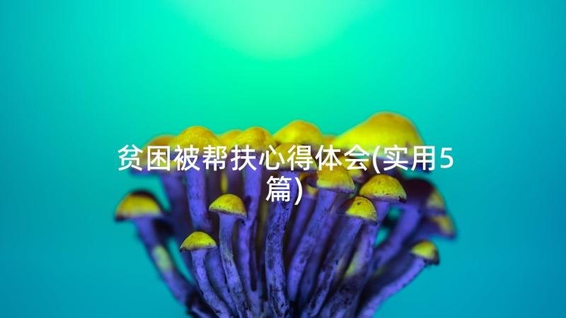 贫困被帮扶心得体会(实用5篇)