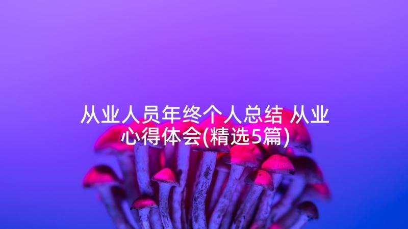 从业人员年终个人总结 从业心得体会(精选5篇)