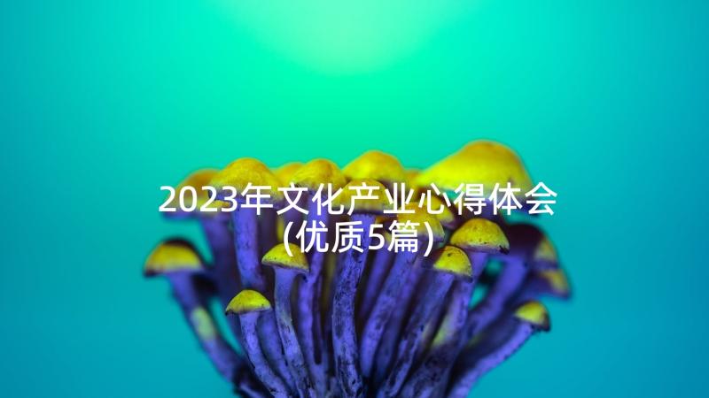 2023年文化产业心得体会(优质5篇)