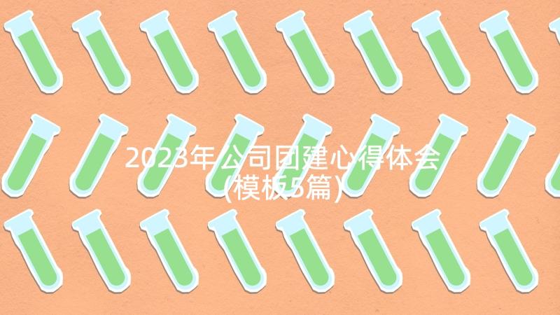 2023年公司团建心得体会(模板5篇)