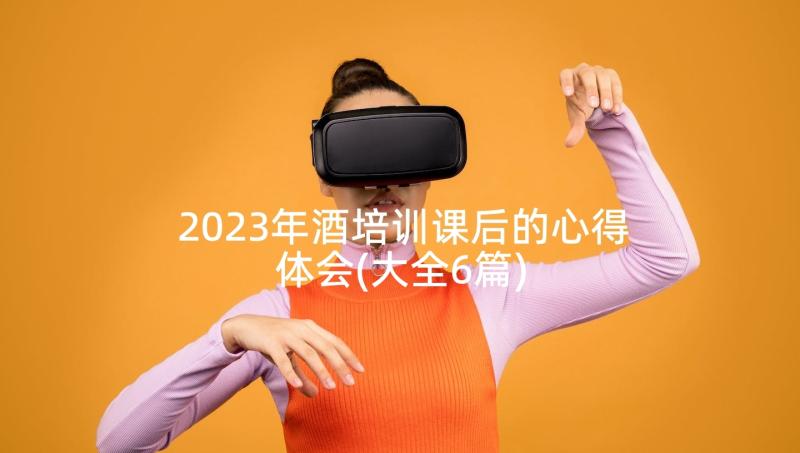 2023年酒培训课后的心得体会(大全6篇)