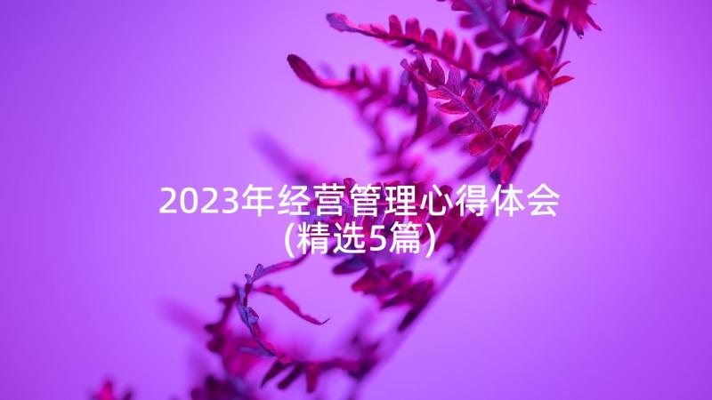 2023年经营管理心得体会(精选5篇)