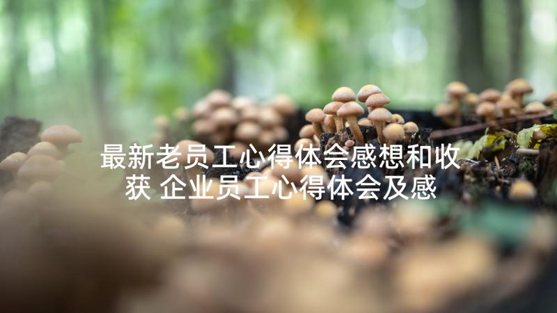 最新老员工心得体会感想和收获 企业员工心得体会及感想(优质8篇)