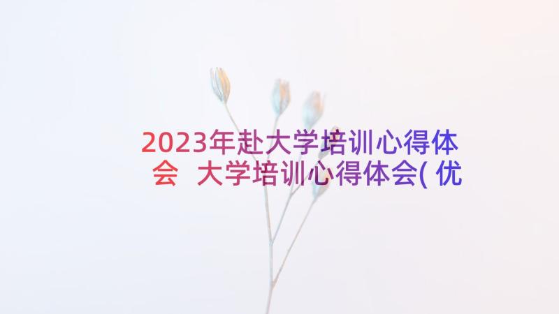 2023年赴大学培训心得体会 大学培训心得体会(优质7篇)