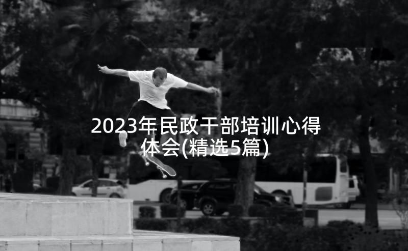 2023年民政干部培训心得体会(精选5篇)