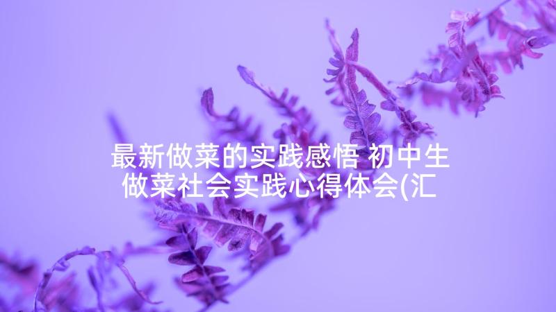 最新做菜的实践感悟 初中生做菜社会实践心得体会(汇总5篇)