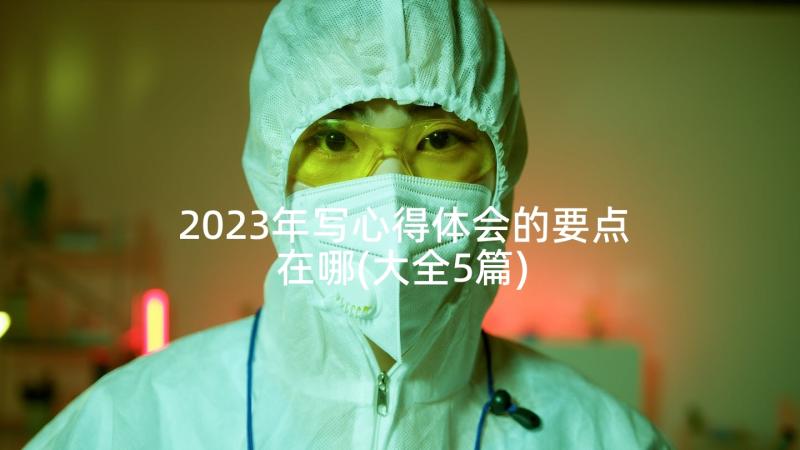 2023年写心得体会的要点在哪(大全5篇)