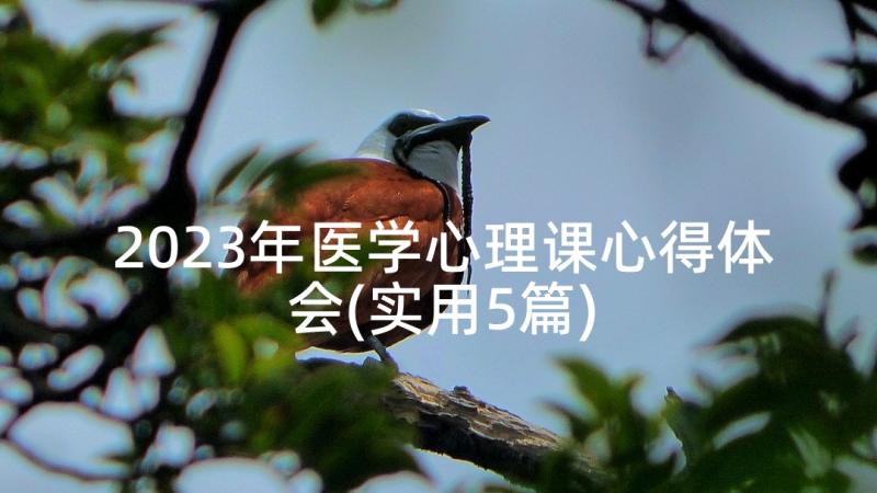 2023年医学心理课心得体会(实用5篇)