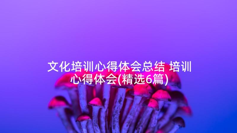 文化培训心得体会总结 培训心得体会(精选6篇)