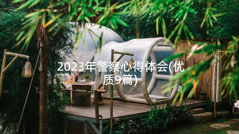 2023年警察心得体会(优质9篇)