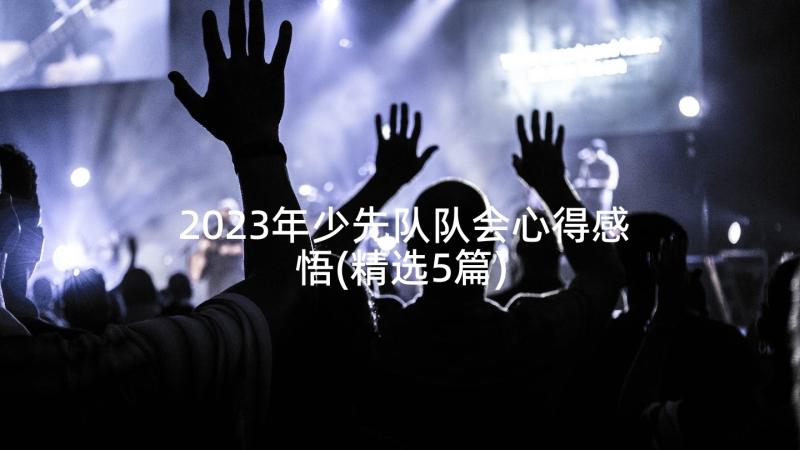 2023年少先队队会心得感悟(精选5篇)