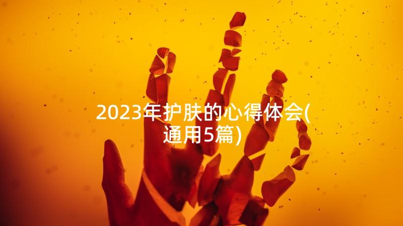 2023年护肤的心得体会(通用5篇)