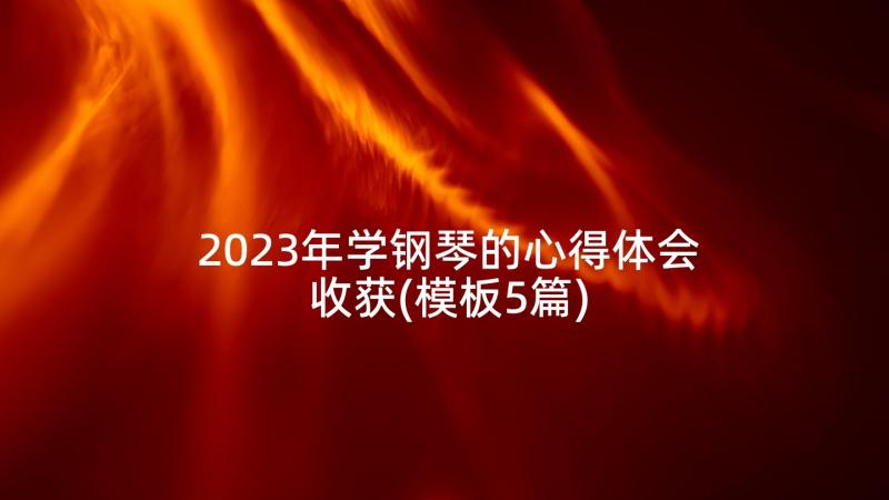 2023年学钢琴的心得体会收获(模板5篇)