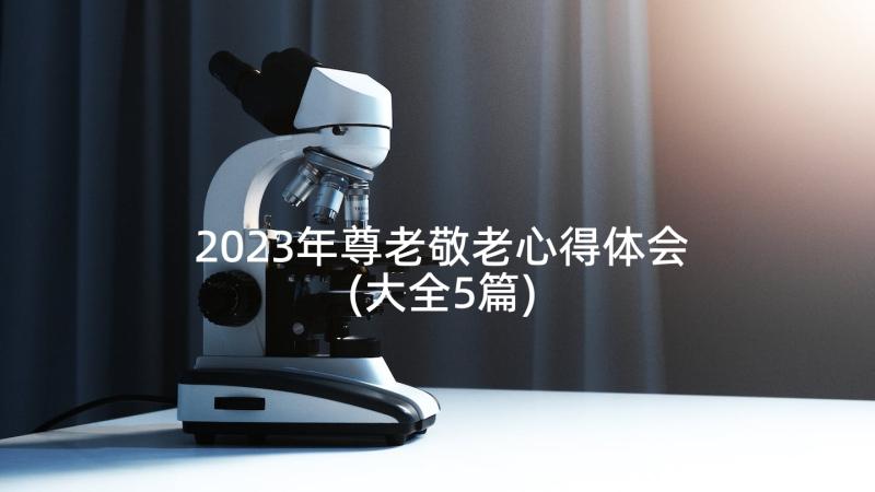 2023年尊老敬老心得体会(大全5篇)