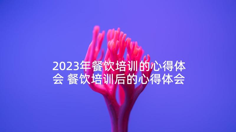 2023年餐饮培训的心得体会 餐饮培训后的心得体会(精选8篇)