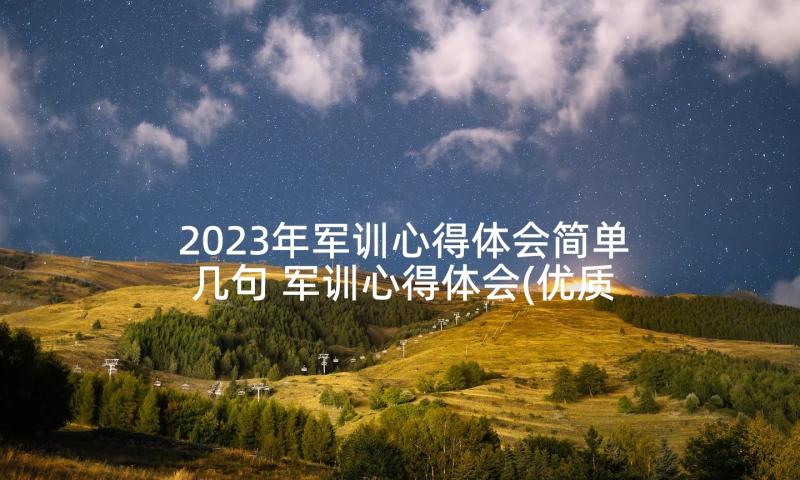 2023年军训心得体会简单几句 军训心得体会(优质5篇)