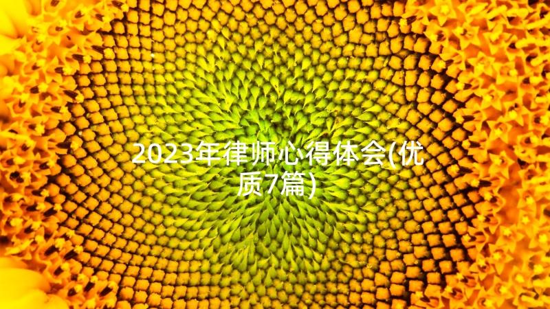 2023年律师心得体会(优质7篇)