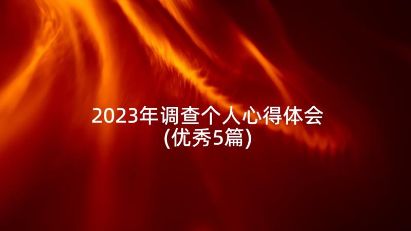 2023年调查个人心得体会(优秀5篇)