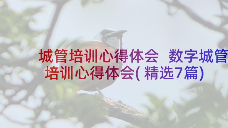 城管培训心得体会 数字城管培训心得体会(精选7篇)